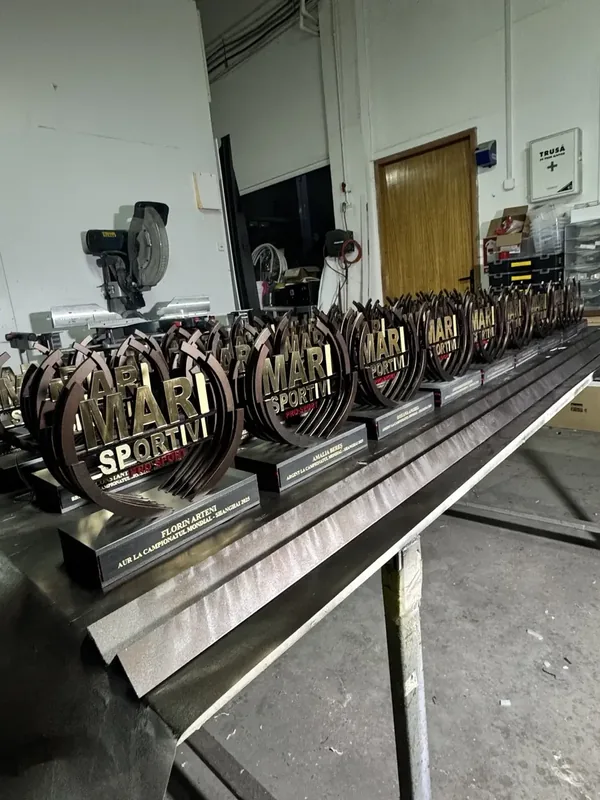 Trofee personalizate Mari Sportivi