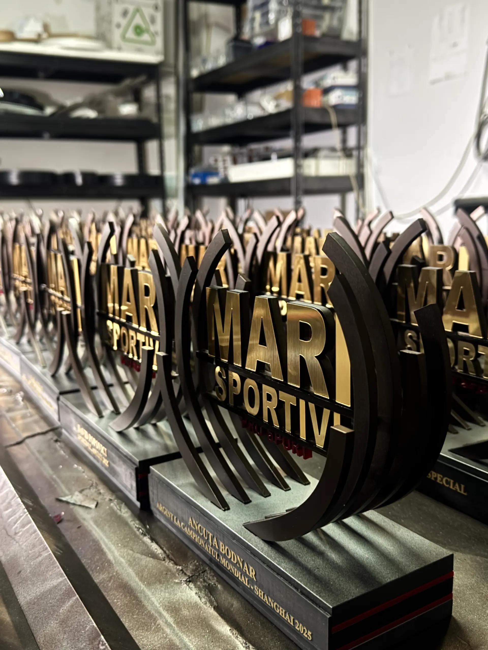 Colecție premium de trofee personalizate din plexiglas și lemn